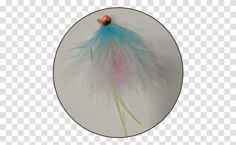 Cotton Candy Circle, Painting, Ornament, Bird, Plastic Wrap Transparent Png