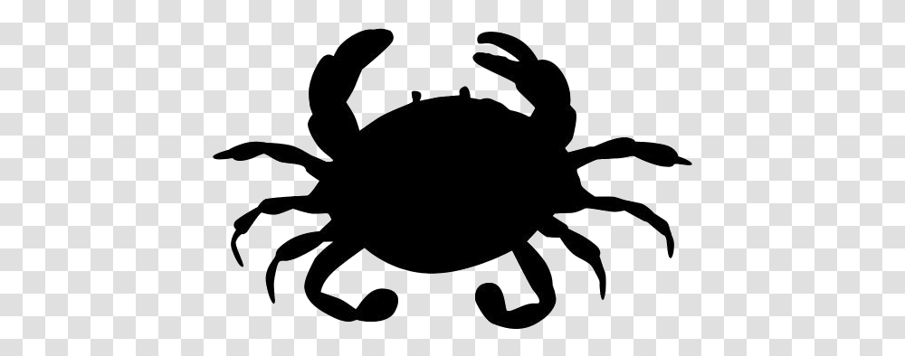 Cotton Crab Images Freshwater Crab, Sea Life, Animal, Seafood, Stencil Transparent Png