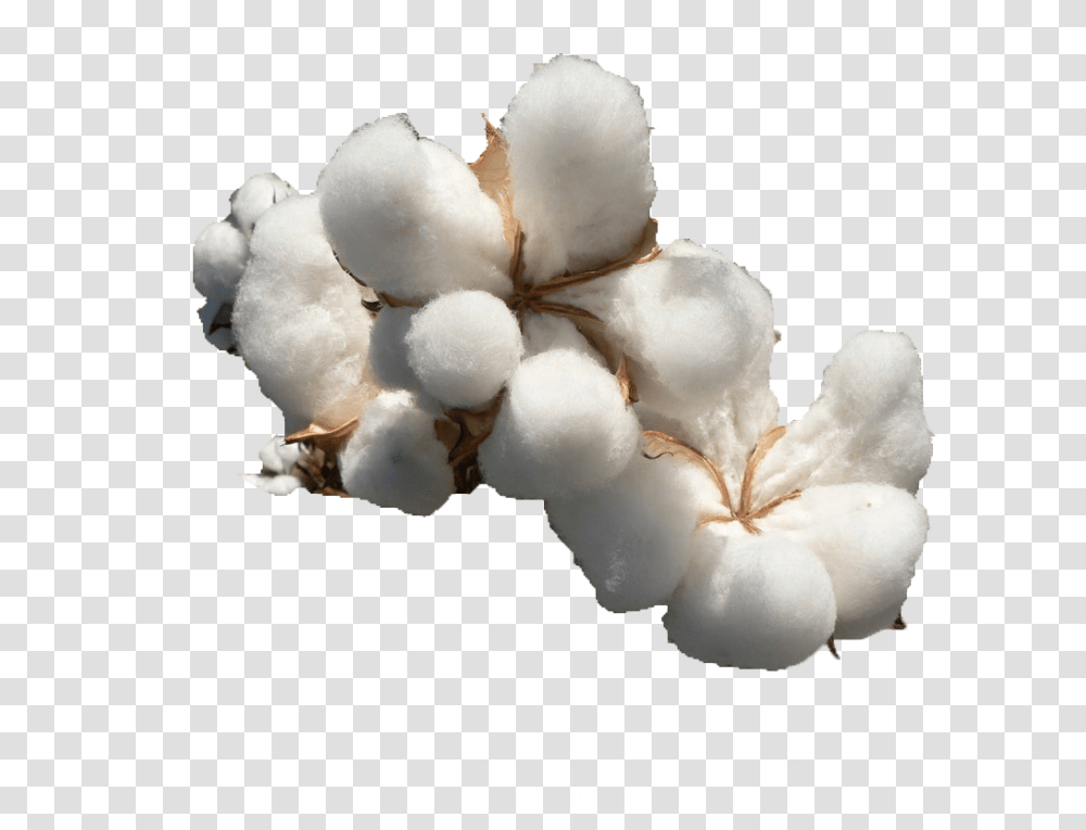 Cotton File Download Free Cotton, Snowman, Winter, Outdoors, Nature Transparent Png