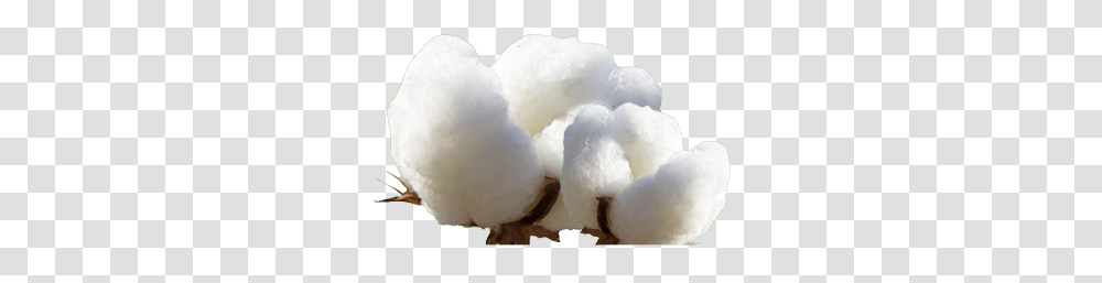 Cotton, Nature, Snowman, Winter, Outdoors Transparent Png