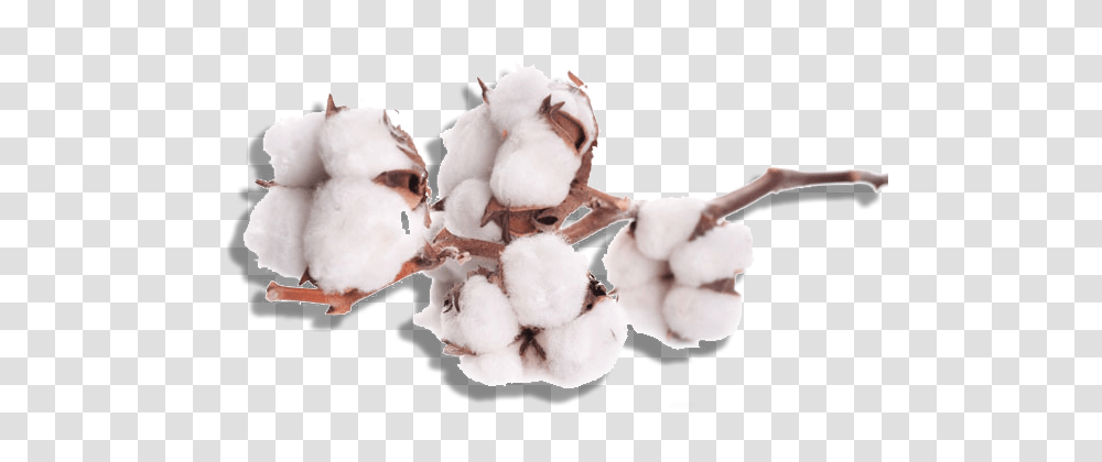 Cotton, Nature, Snowman, Winter, Outdoors Transparent Png