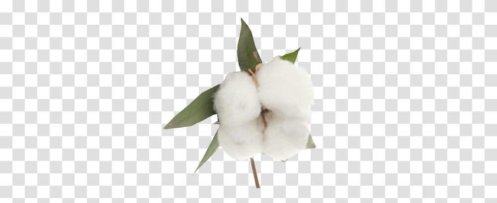 Cotton, Nature, Snowman, Winter, Outdoors Transparent Png