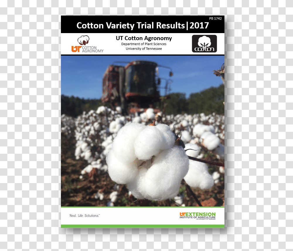 Cotton Plant, Bird, Animal Transparent Png