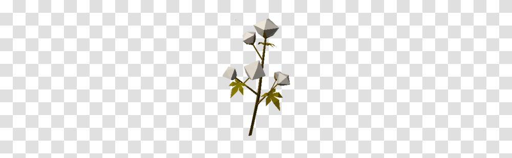 Cotton Plant, Leaf, Cross, Flower Transparent Png