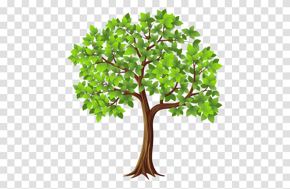 Cotton Tree Service, Plant, Leaf, Vegetation, Tree Trunk Transparent Png
