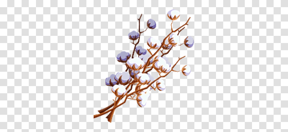 Cotton Twig, Plant, Food, Fruit, Birthday Cake Transparent Png