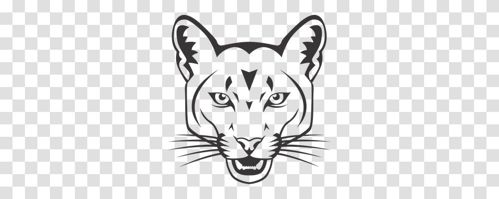 Cougar Nature, Cat, Pet, Mammal Transparent Png