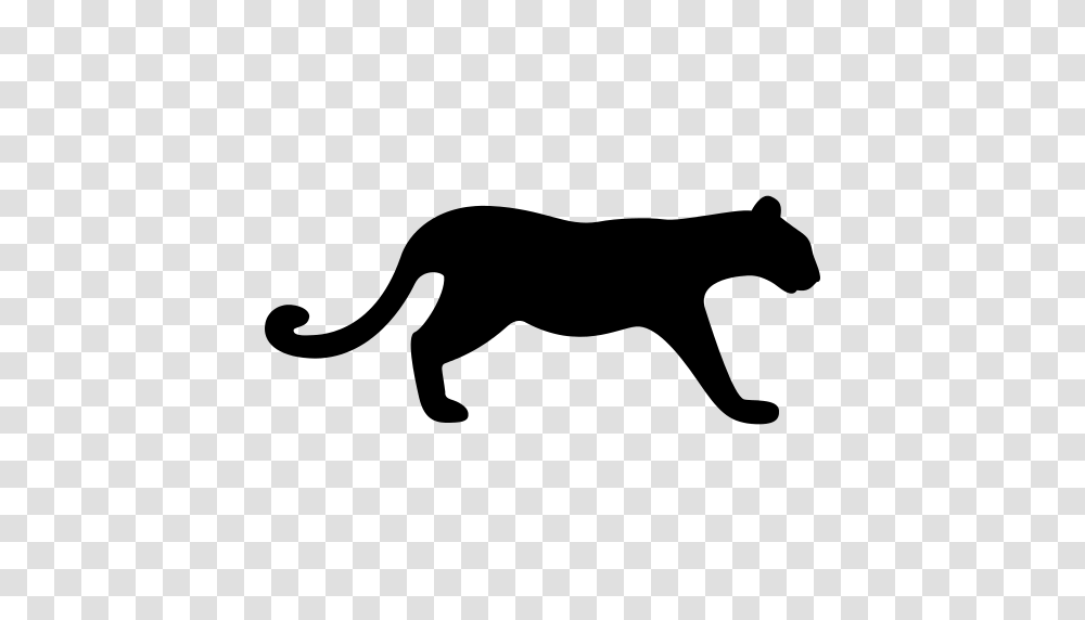 Cougar Icon, Gray, World Of Warcraft Transparent Png
