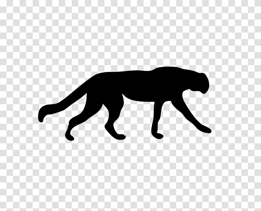 Cougar Panther Leopard Cat Felidae, Gray, World Of Warcraft Transparent Png