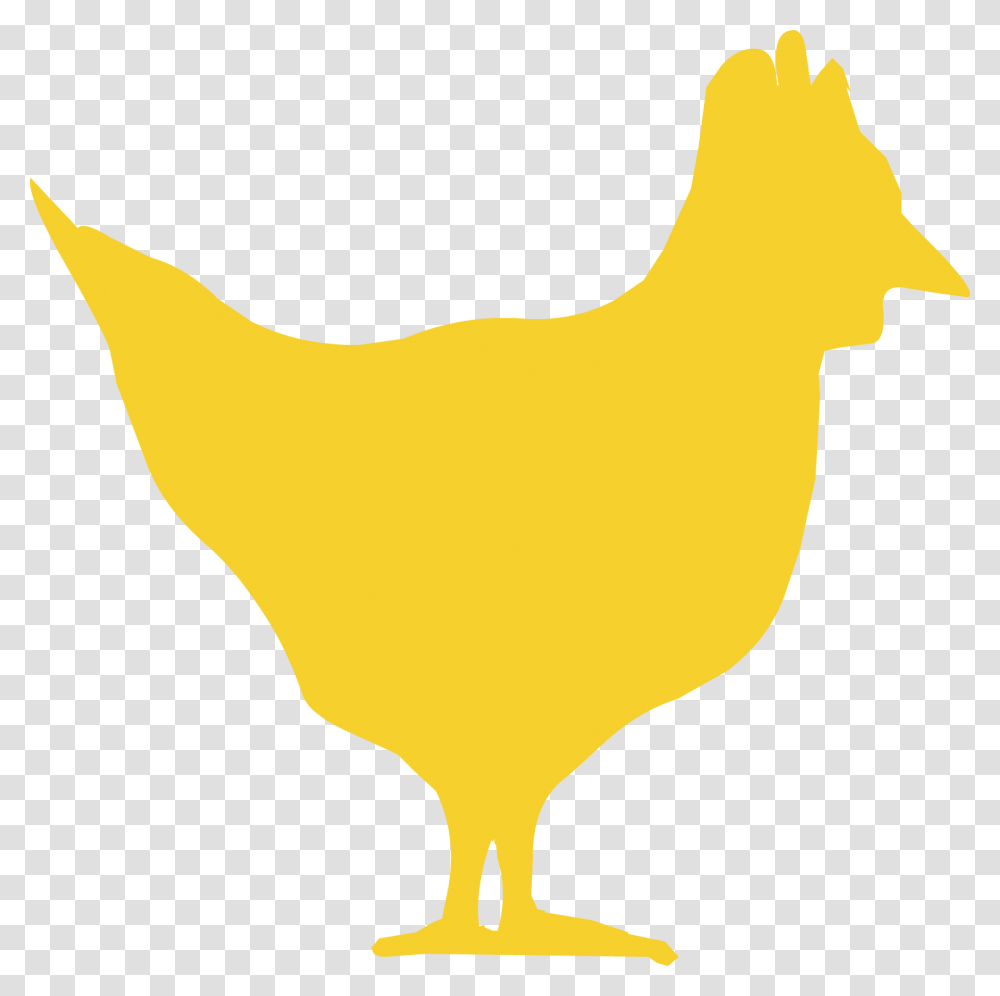 Counter Strike Wiki, Animal, Bird, Poultry, Fowl Transparent Png