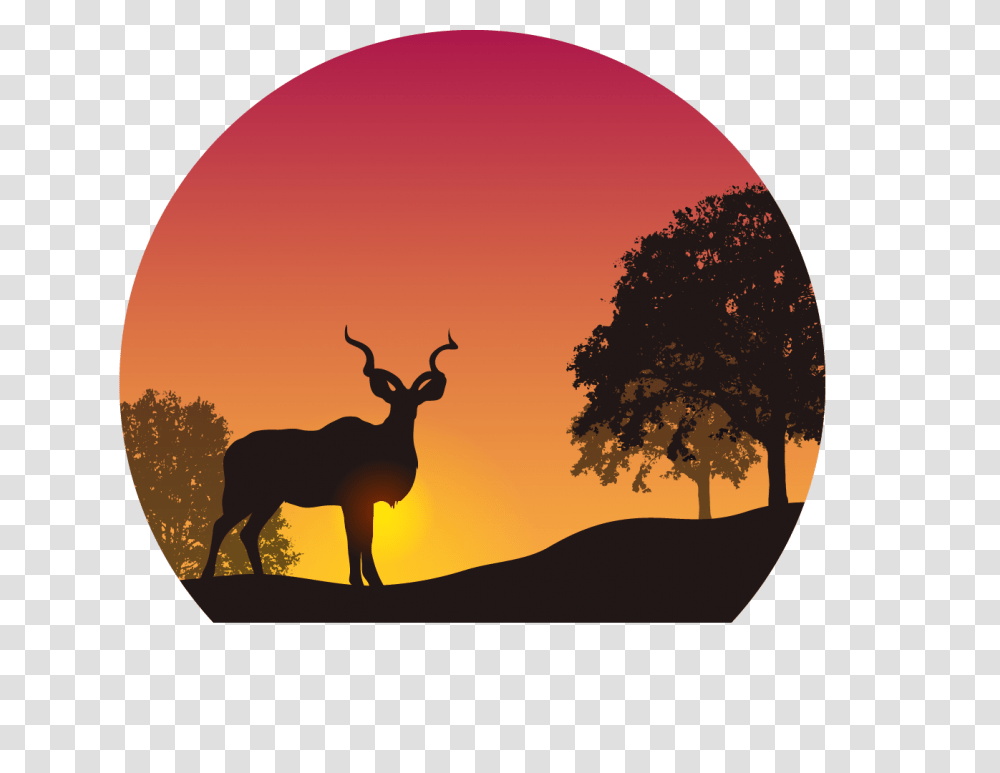 Country, Antelope, Wildlife, Mammal Transparent Png