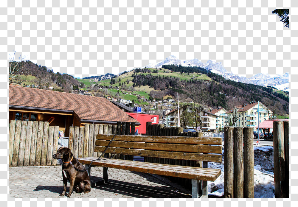 Country, Bench, Furniture, Dog Transparent Png
