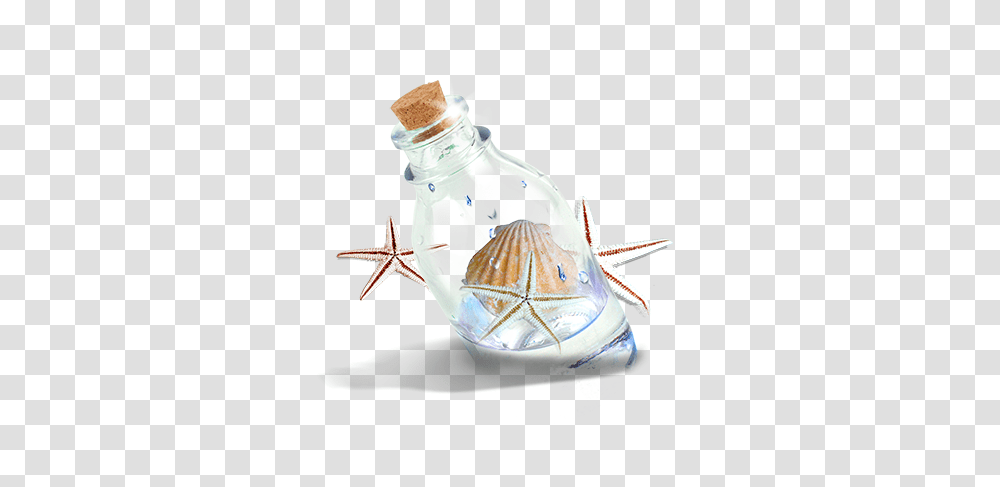 Country, Bottle, Glass, Plant Transparent Png
