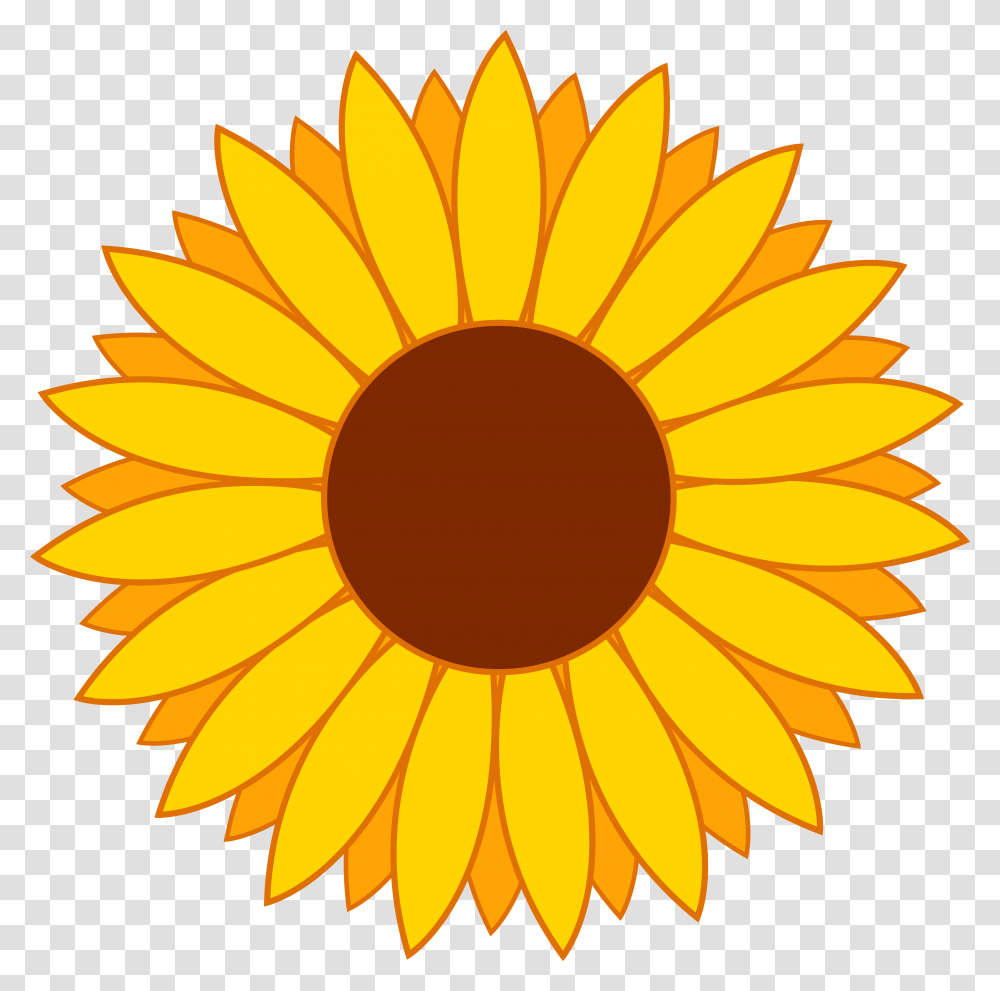 Country Flower Cliparts, Plant, Blossom, Sunflower Transparent Png