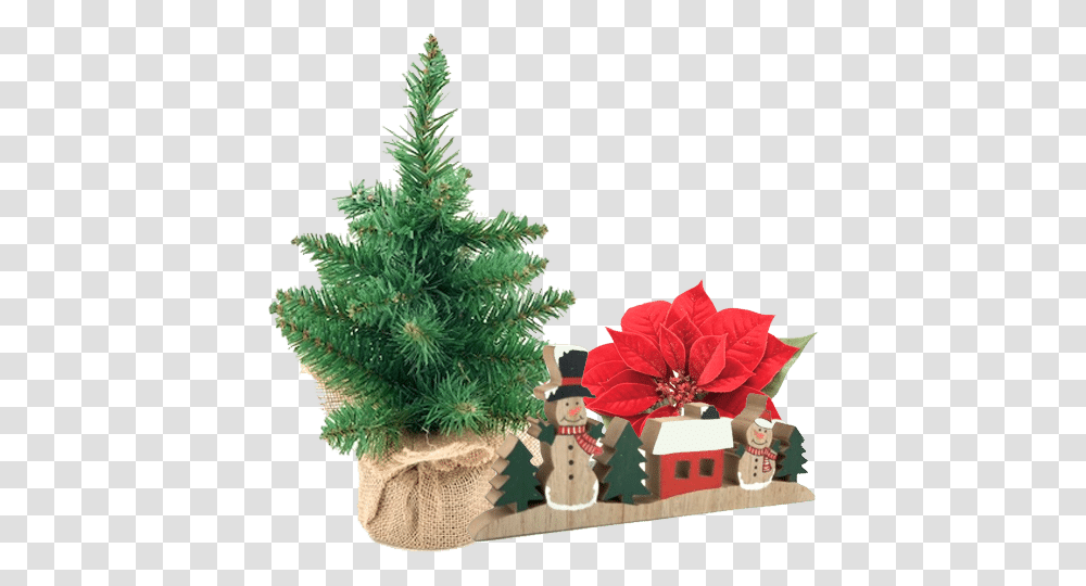 Country Flowers Malta Seasonal Decorations And Plants Christmas Day, Tree, Christmas Tree, Ornament, Pine Transparent Png