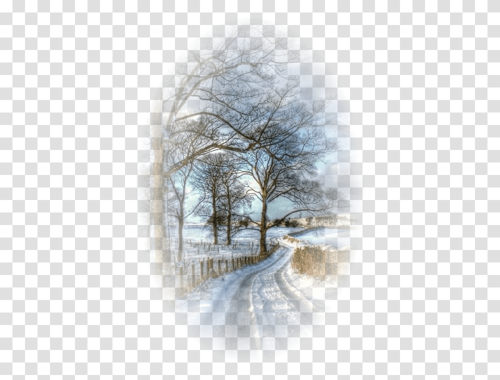 Country Lanes In Winter, Nature, Outdoors, Panoramic, Landscape Transparent Png
