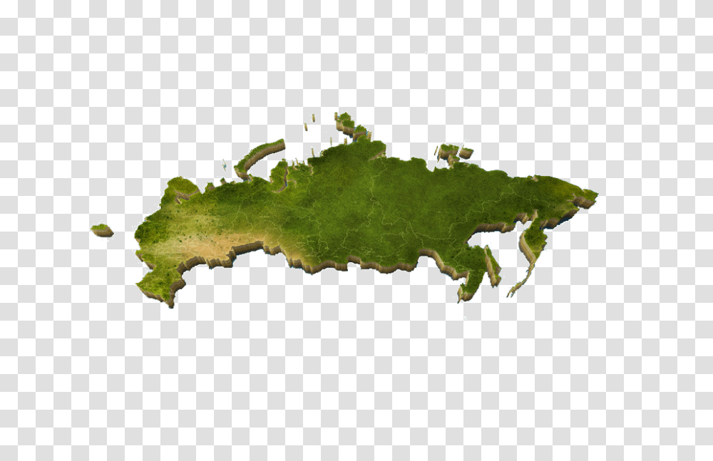 Country, Leaf, Plant, Stain Transparent Png