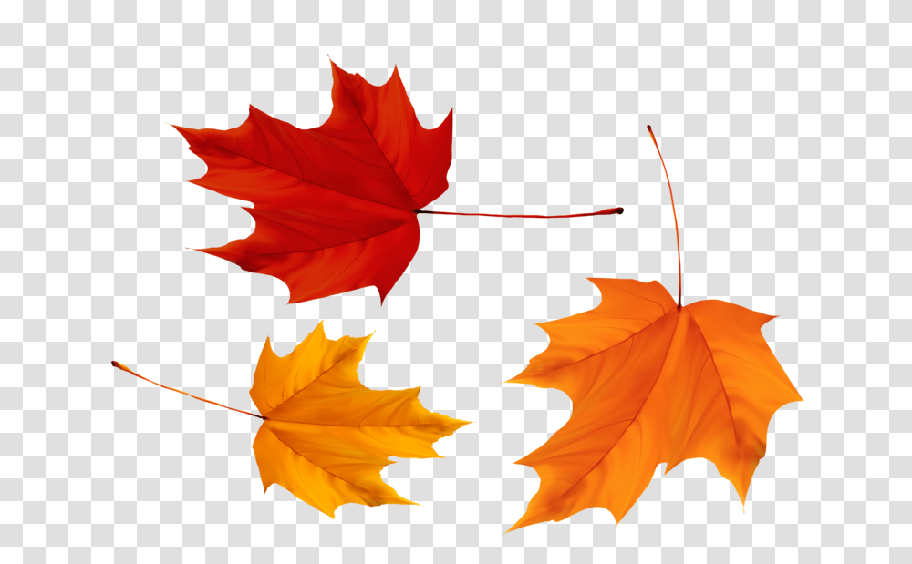 Country, Leaf, Plant, Tree Transparent Png