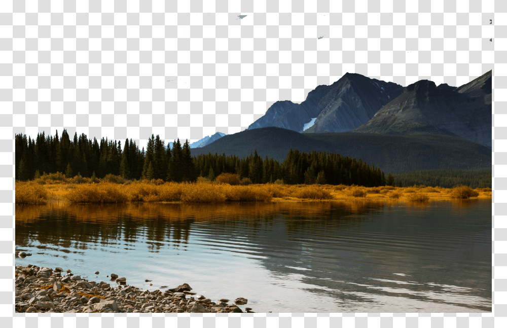 Country, Nature, Fir, Tree Transparent Png