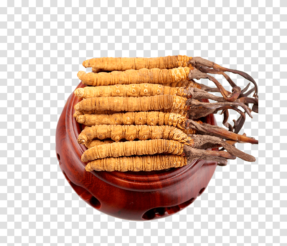 Country, Plant, Root, Hot Dog Transparent Png