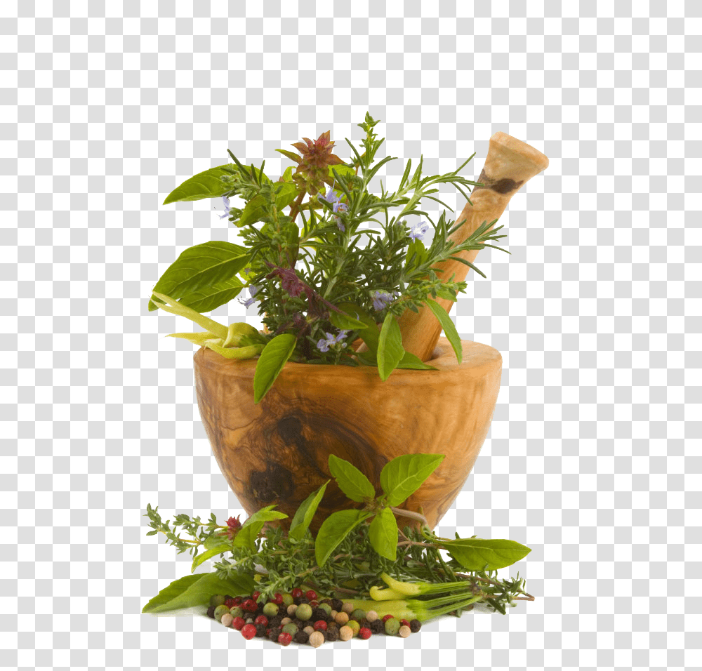 Country, Plant, Vase, Jar Transparent Png