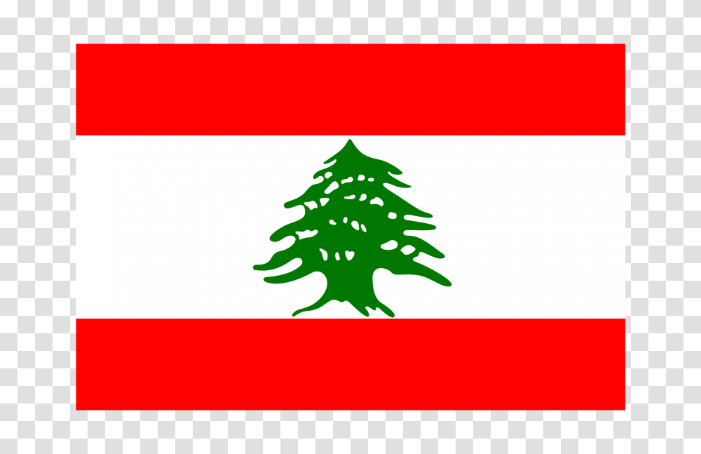 Country Project Lebanon Psu Communications Seminar, Tree, Plant, Star Symbol Transparent Png