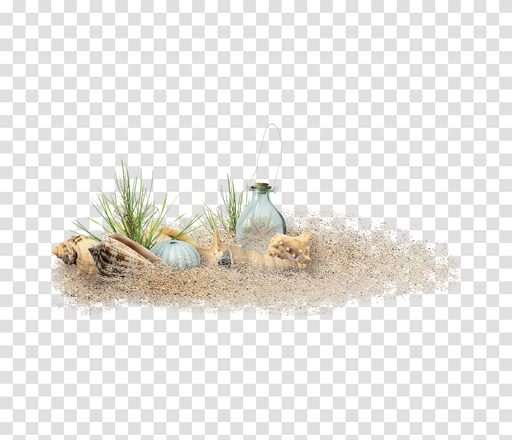 Country, Rug, Plant, Road Transparent Png