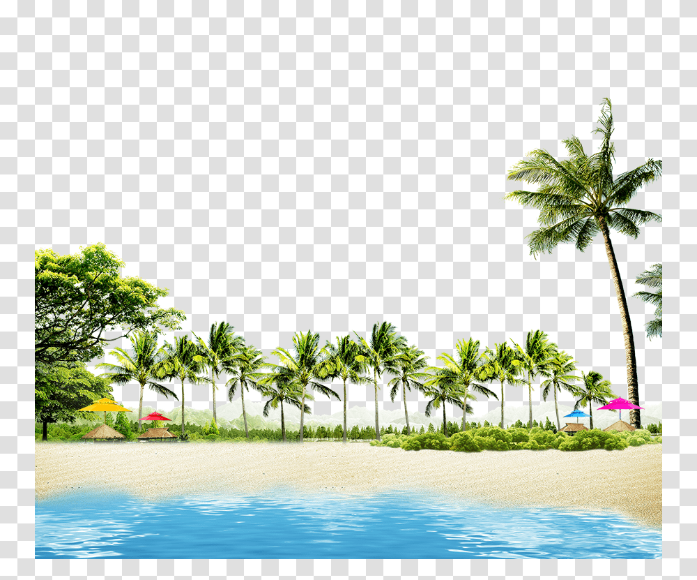 Country, Summer, Tropical, Tree Transparent Png