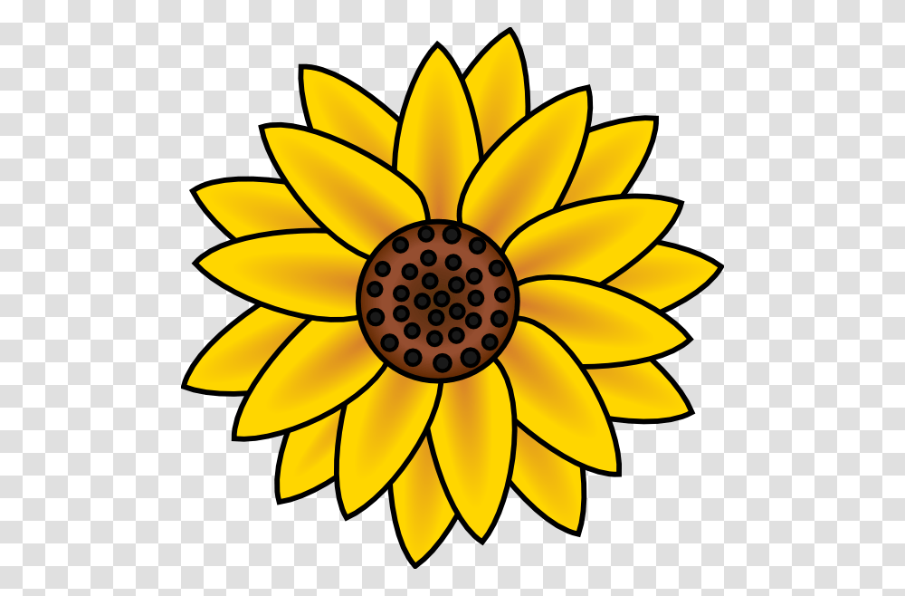 Country Sunflower Cliparts, Plant, Blossom, Lamp Transparent Png