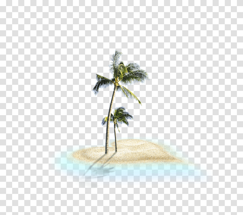 Country, Tree, Plant, Tropical Transparent Png