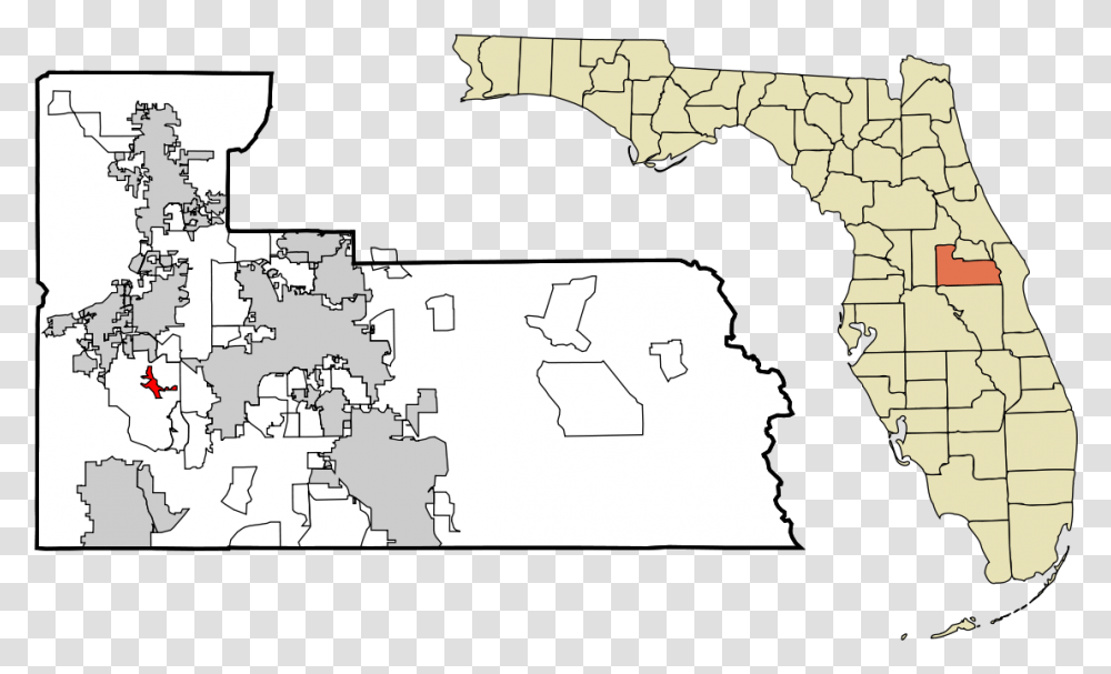 County Florida, Person, Plot, Diagram Transparent Png