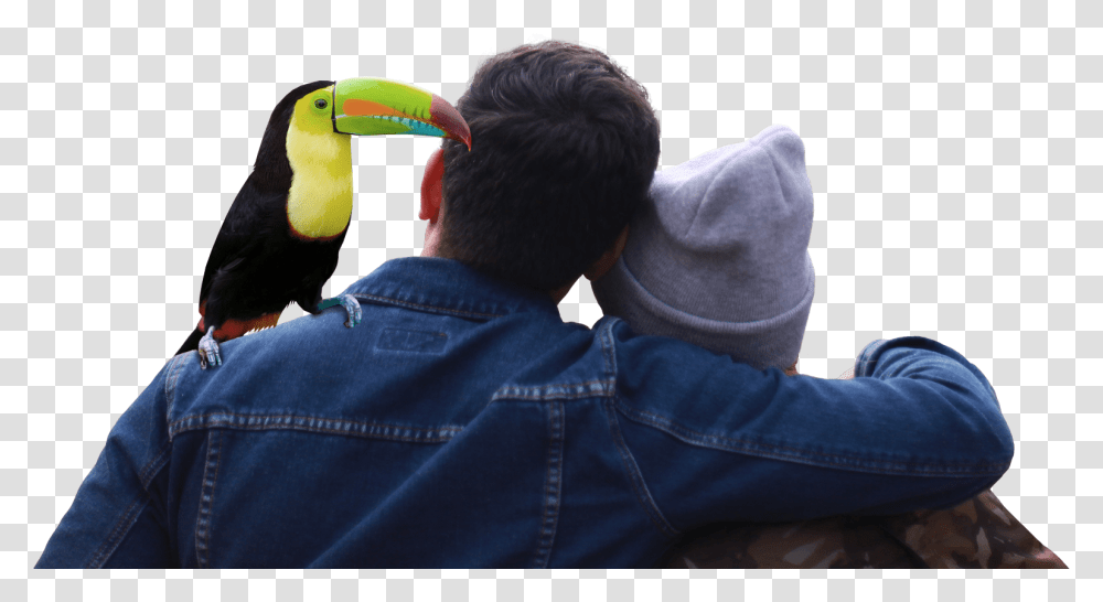Couple And Toucan Couple From The Back, Bird, Animal, Person, Human Transparent Png