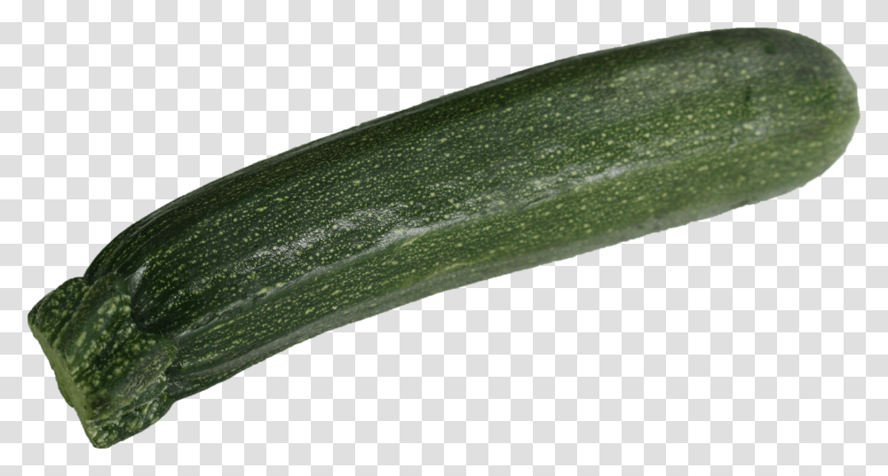 Courgette Gourd Transparent Png