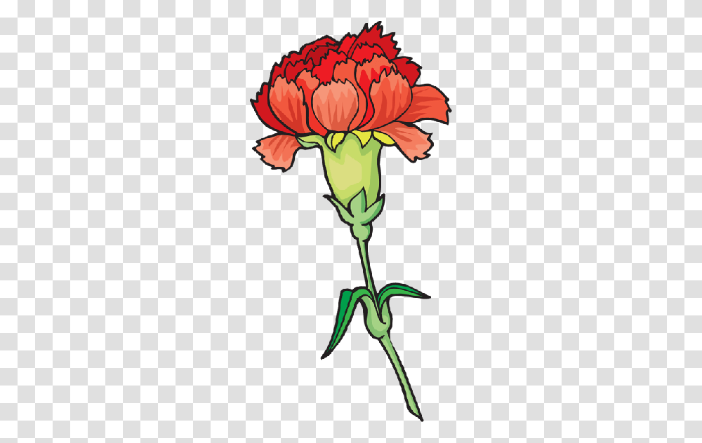 Cousin Daisy Cliparts, Plant, Flower, Blossom, Rose Transparent Png