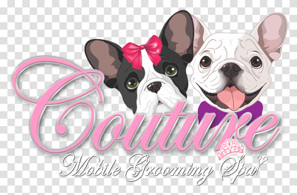 Couture Mobile Grooming Spa Logo Matte French Bulldog, Advertisement, Poster, Pet, Canine Transparent Png