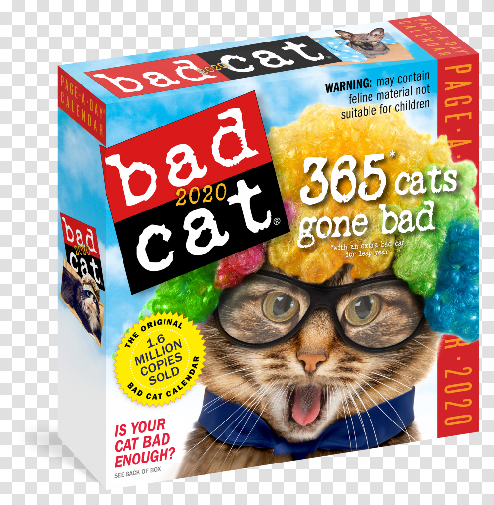 Cover Bad Cat Book Transparent Png