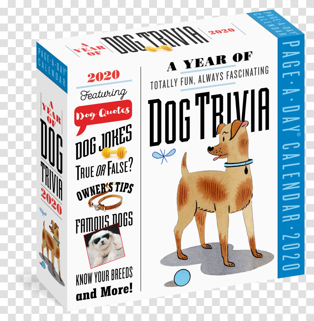 Cover Calendar, Dog, Pet, Canine, Animal Transparent Png