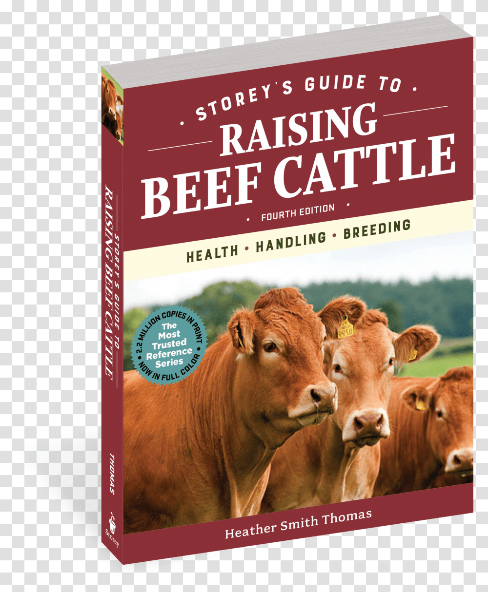 Cover Cattle Raising Book, Cow, Mammal, Animal, Dairy Cow Transparent Png