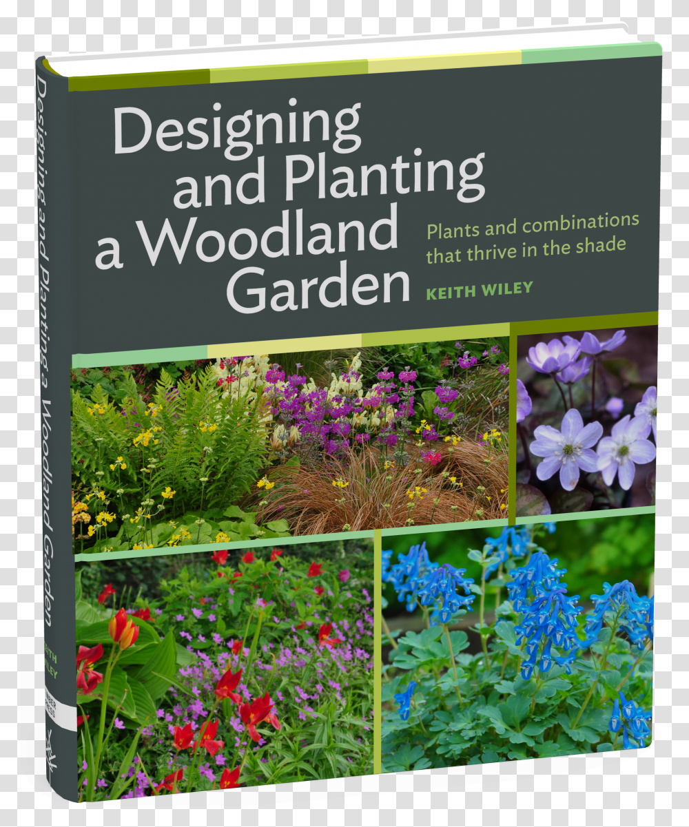 Cover Designing And Planting A Woodland Garden Plants And Transparent Png