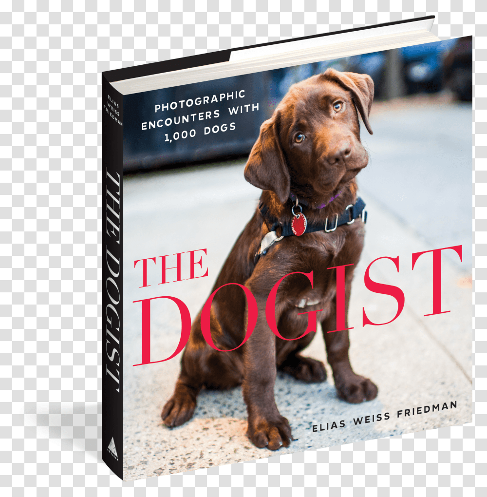 Cover Dogist Book Transparent Png