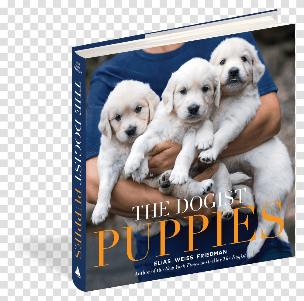 Cover Dogist Puppies Transparent Png