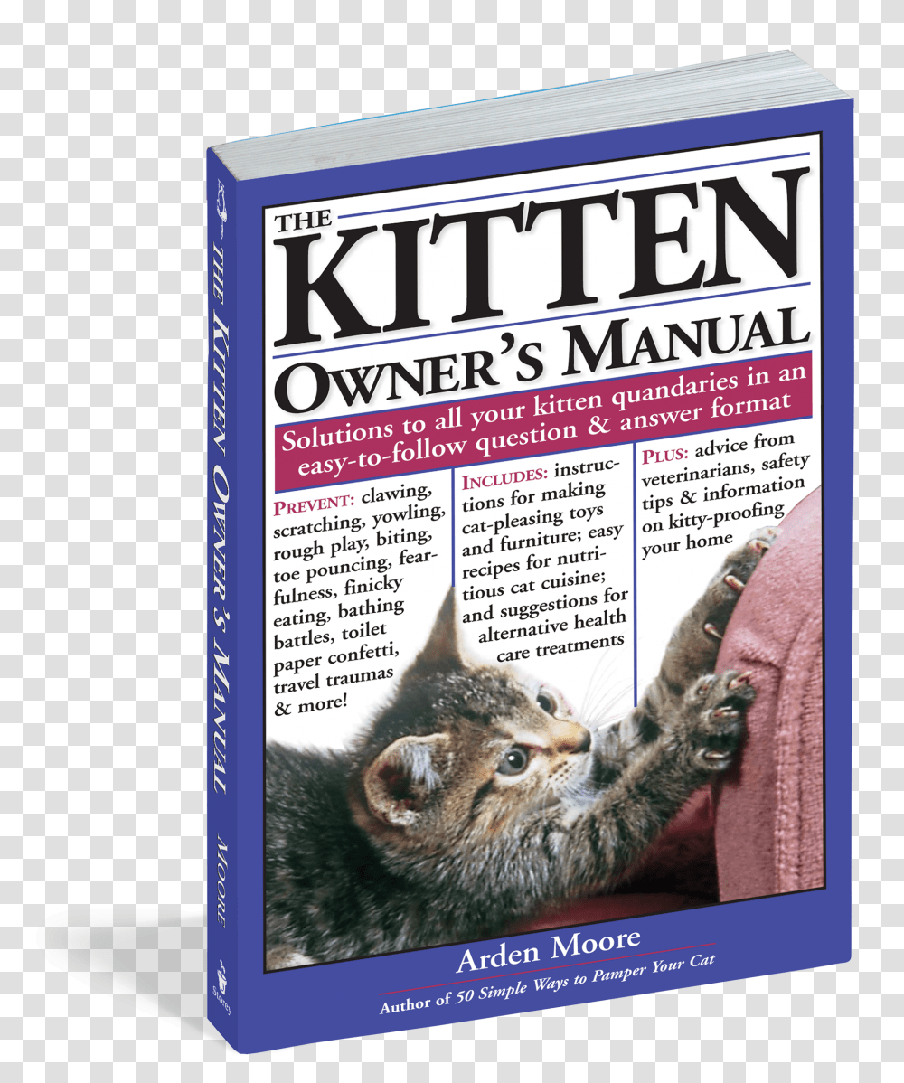 Cover Domestic Short Haired Cat, Advertisement, Poster, Pet, Mammal Transparent Png