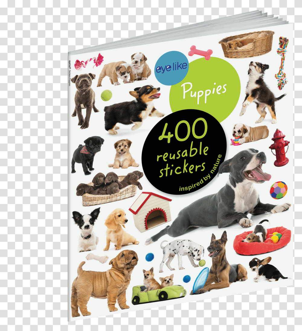 Cover Eyelike Stickers Puppies Transparent Png