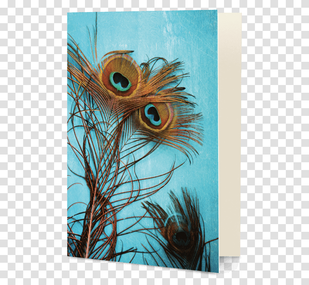 Cover For Redmi Note 5 Pro Peacock Feathers, Bird, Animal, Drawing Transparent Png