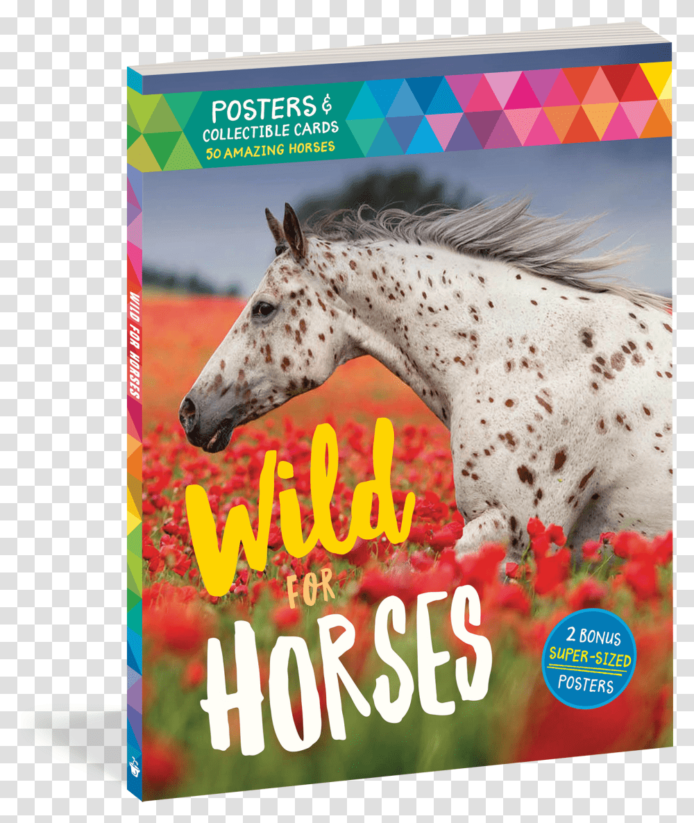Cover, Horse, Mammal, Animal, Advertisement Transparent Png