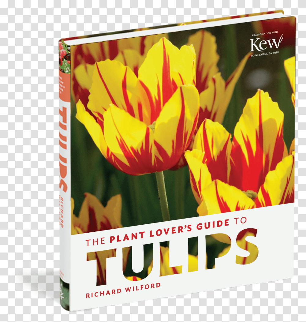 Cover Poster, Advertisement, Plant, Flower, Tulip Transparent Png
