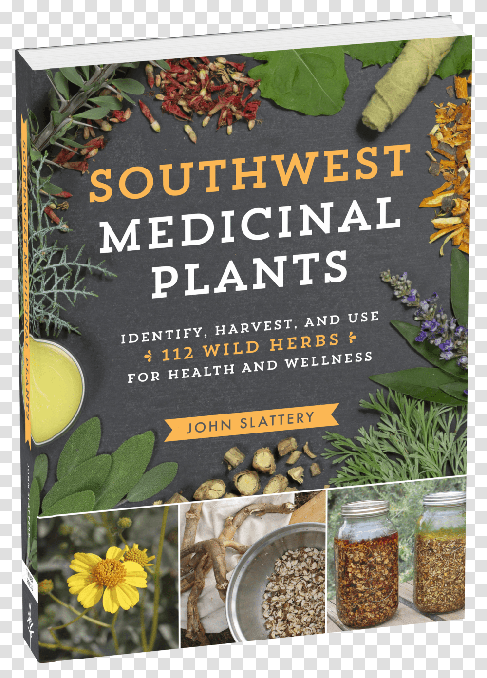 Cover Southwest Medicinal Plants Transparent Png