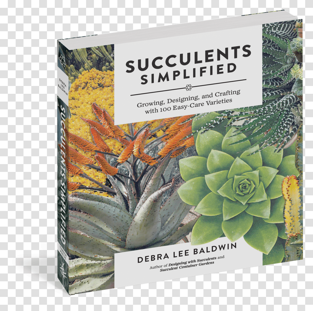 Cover Succulents Seattle Transparent Png