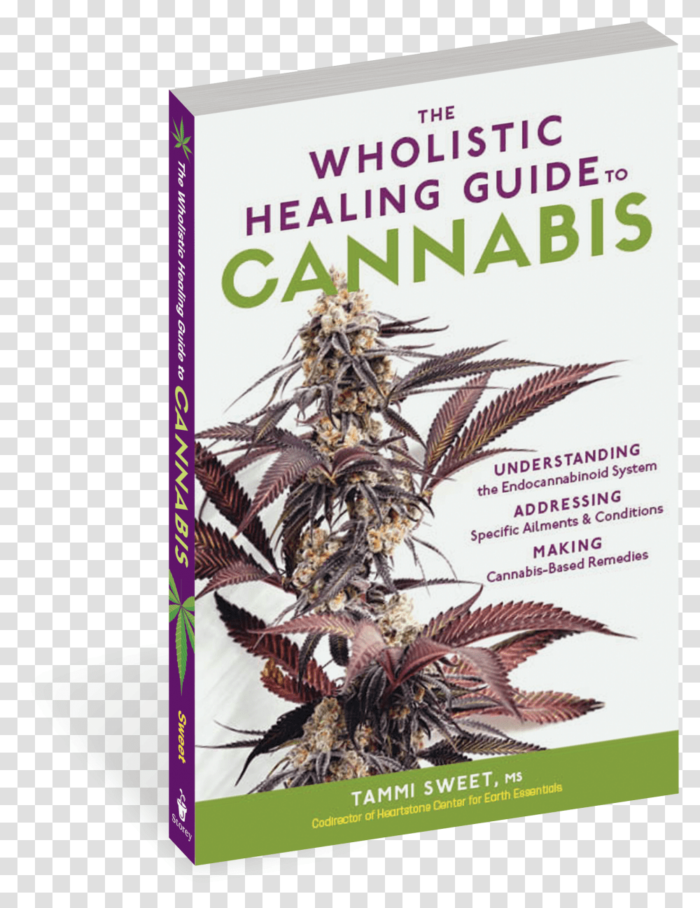 Cover The Wholistic Healing Guide To Cannabis Understanding, Poster, Advertisement, Flyer, Paper Transparent Png