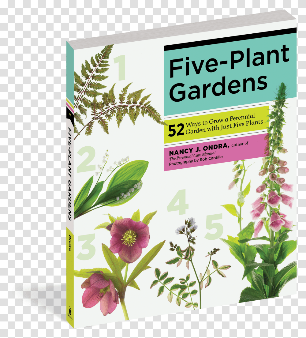 Cover Uae Garden Plants, Flower, Herbal, Herbs, Planter Transparent Png